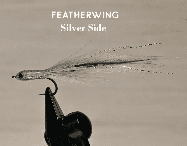 Close-up of a Featherwing Silver Side fly fishing lure.